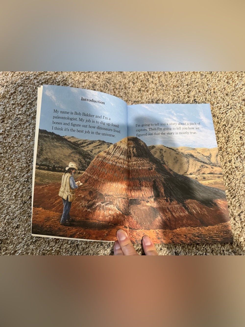 Step into reading “Raptor Pack” step 5 - Picture 3 of 3